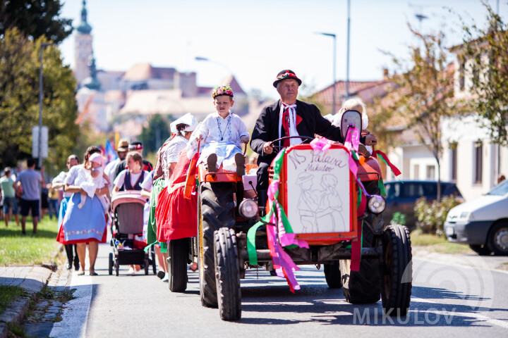 Pálava-Weinlesefest
