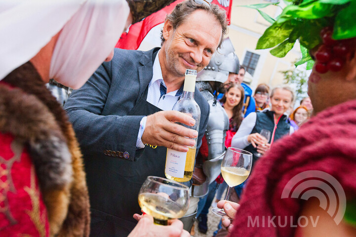Pálava-Weinlesefest