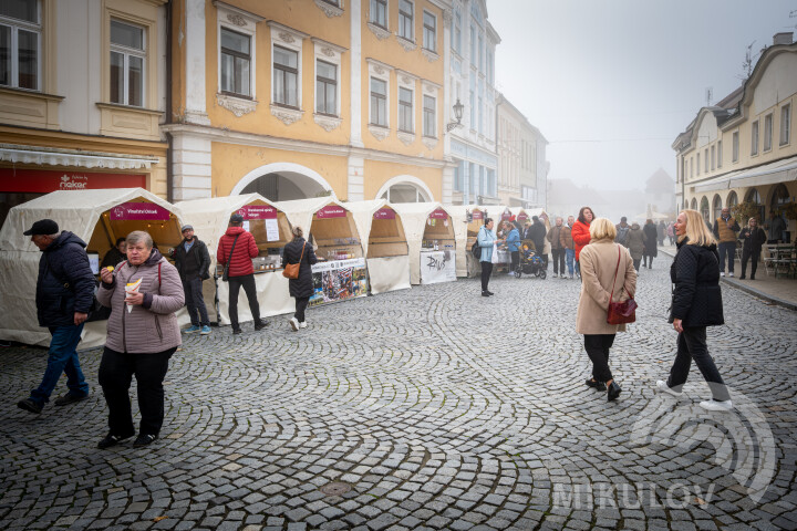 Svatomartinský Mikulov 2025
