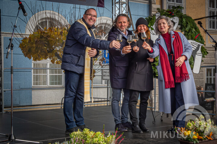 Svatomartinský Mikulov 2025