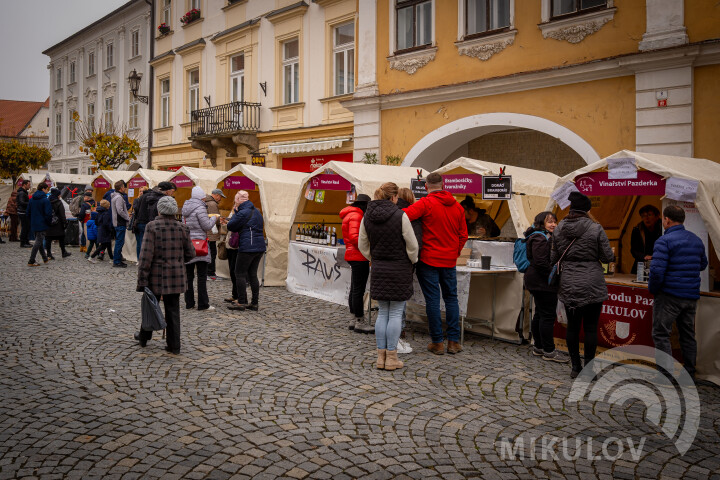 Svatomartinský Mikulov 2025