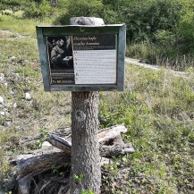 Pálava Nature Reserve