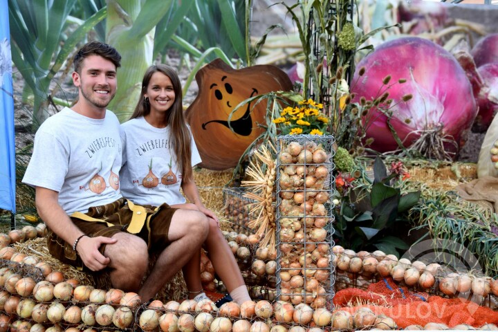 Gastronomic and culinary experiences