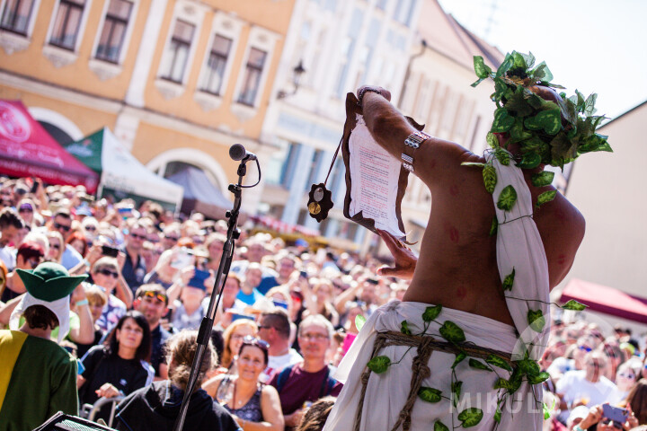 Pálava-Weinlesefest