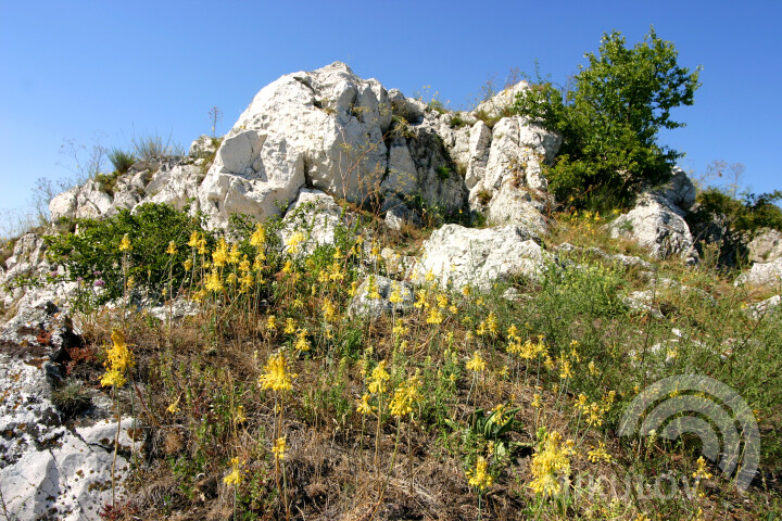 Naturschutzgebiete