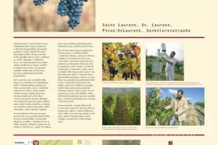 The educational viticulture path Stará Hora