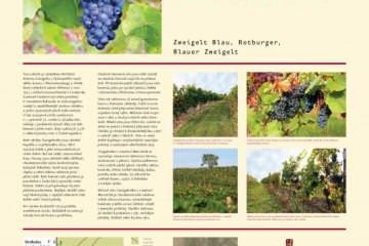The educational viticulture path Stará Hora