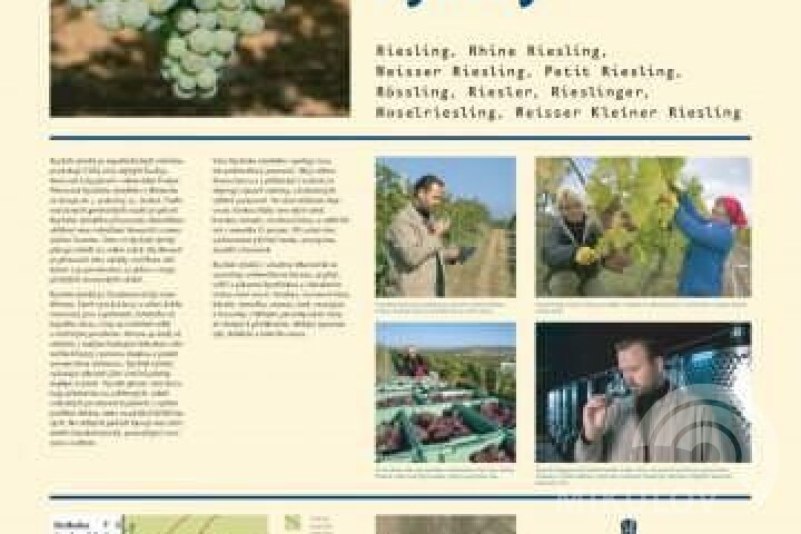 The educational viticulture path Stará Hora