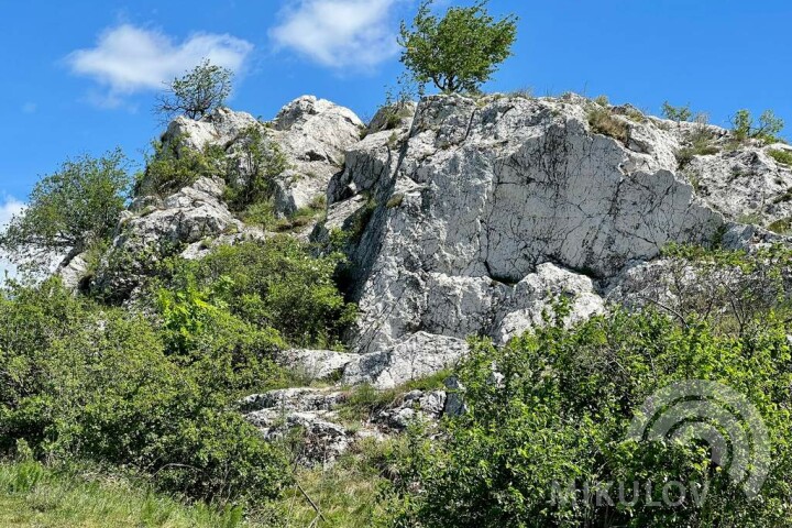 Kočičí skála (Cat Rock)