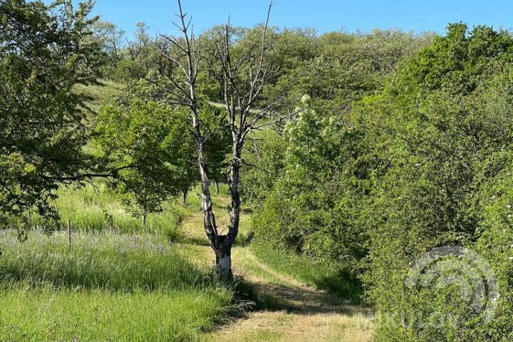 Liščí vrch (Fox Peak)