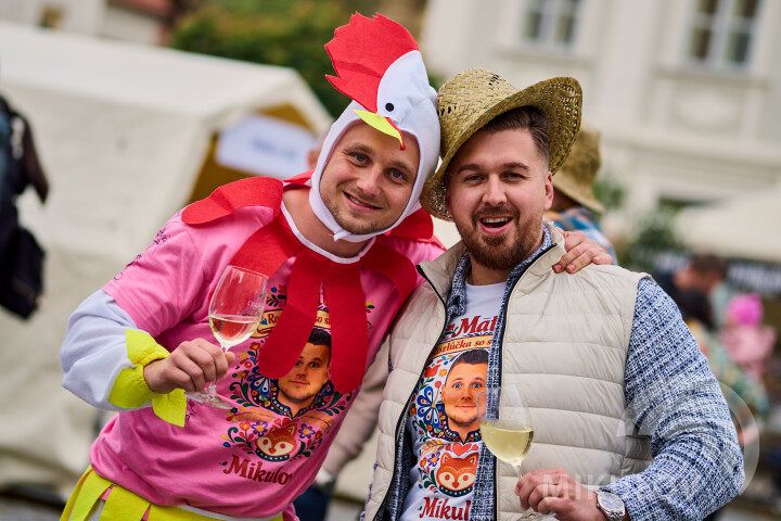 Slavnosti města Mikulov 2026