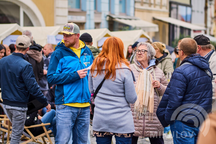 Slavnosti města Mikulov 2026