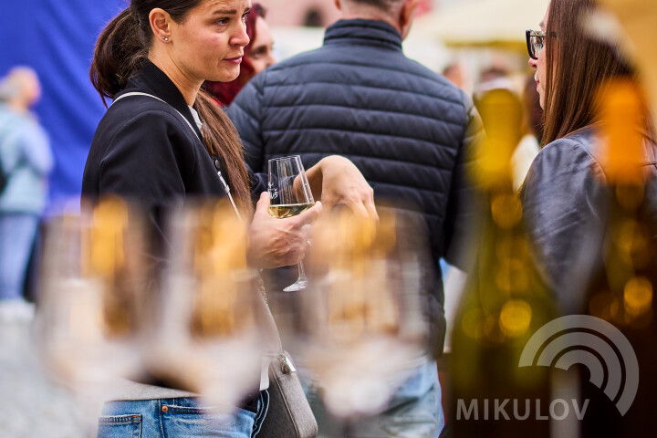 Slavnosti města Mikulov 2026