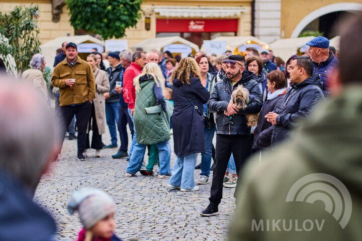 Slavnosti města Mikulov 2026