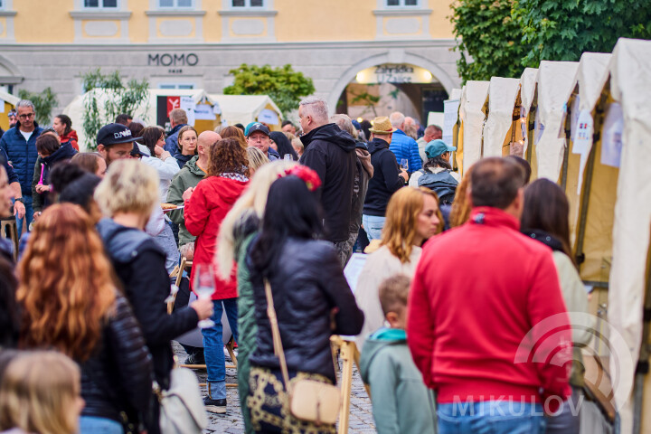 Slavnosti města Mikulov 2026