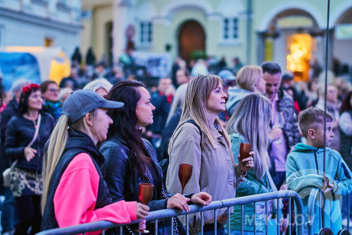 Slavnosti města Mikulov 2026