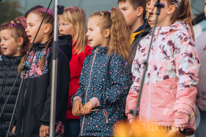 Slavnosti města Mikulov 2026