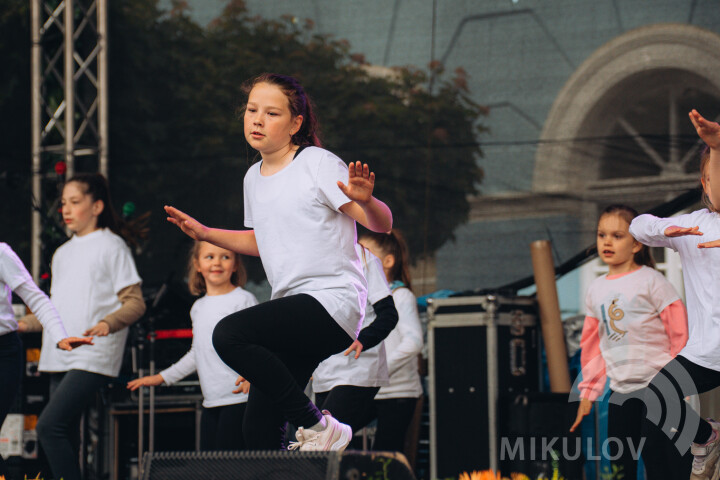Slavnosti města Mikulov 2026