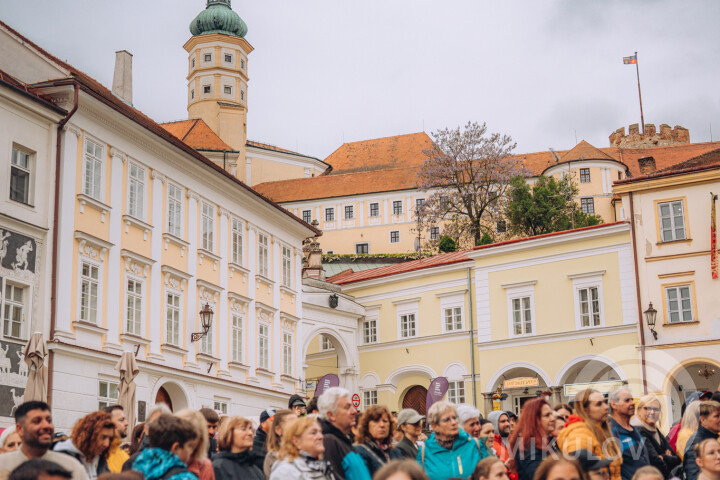 Slavnosti města Mikulov 2026