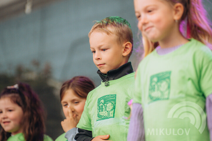 Slavnosti města Mikulov 2026