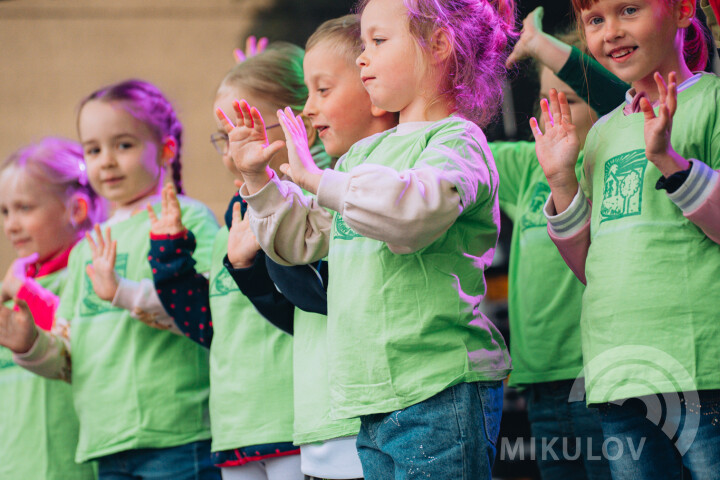 Slavnosti města Mikulov 2026
