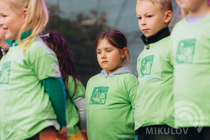 Slavnosti města Mikulov 2026