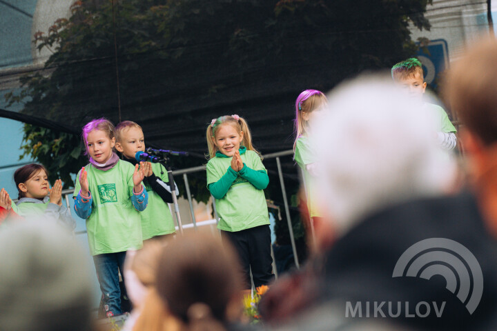 Slavnosti města Mikulov 2026