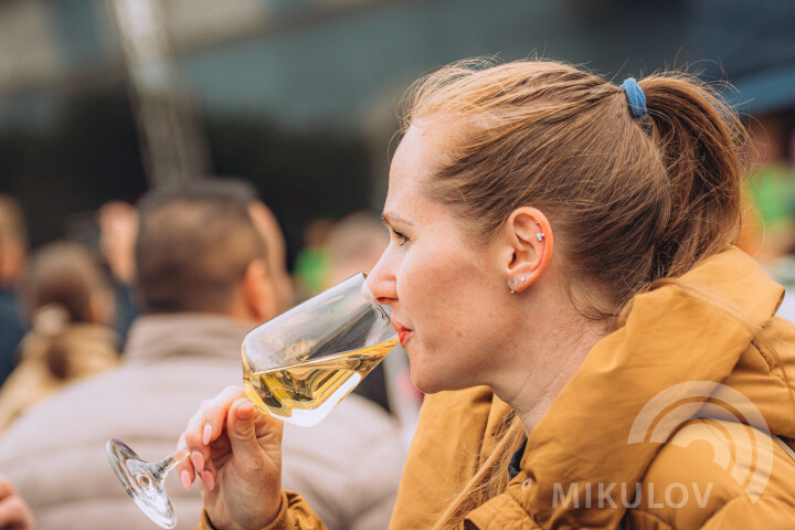 Slavnosti města Mikulov 2026