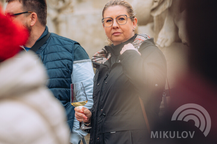 Slavnosti města Mikulov 2026