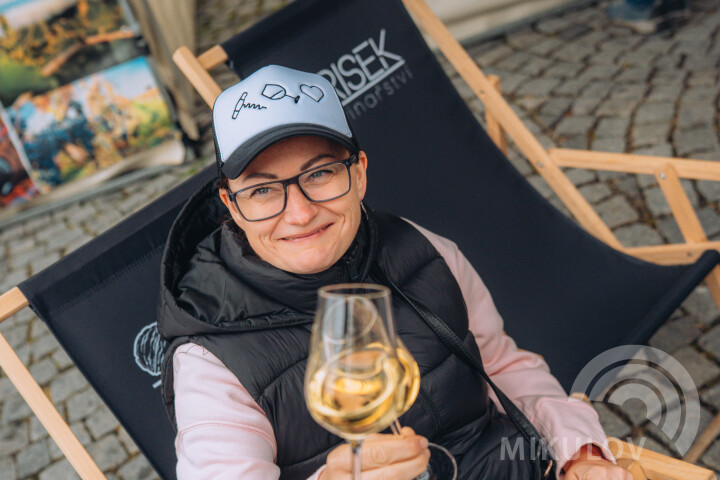 Slavnosti města Mikulov 2026