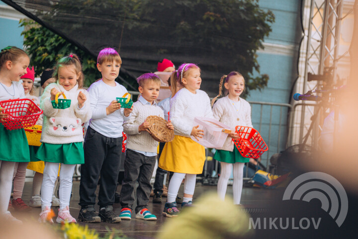 Slavnosti města Mikulov 2026