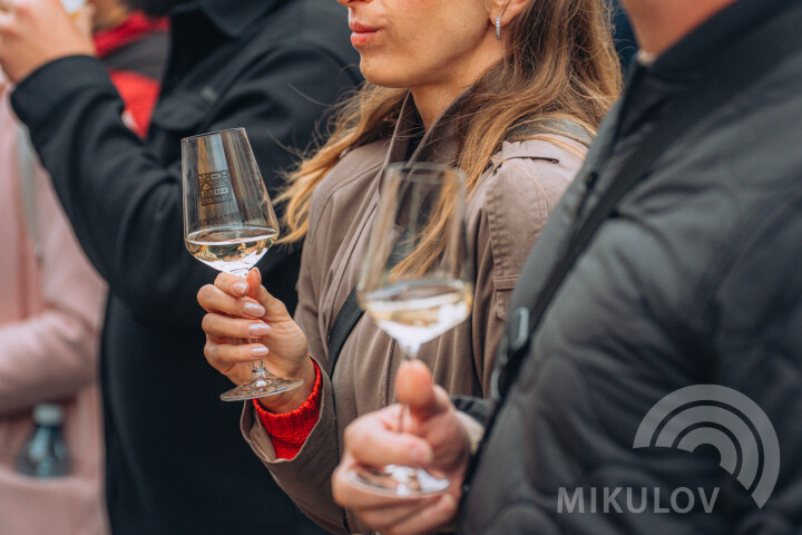Slavnosti města Mikulov 2026