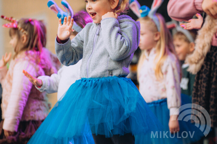 Slavnosti města Mikulov 2026