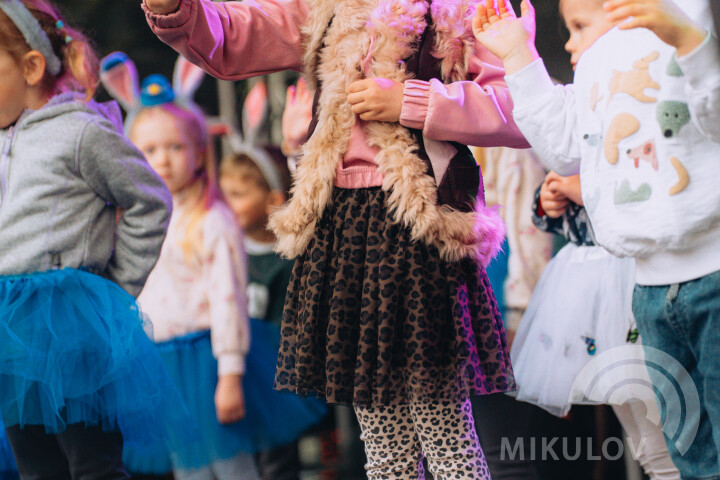 Slavnosti města Mikulov 2026