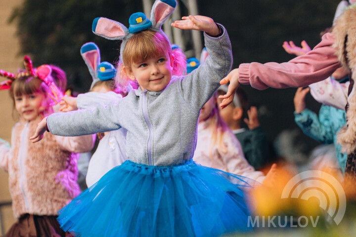 Slavnosti města Mikulov 2026