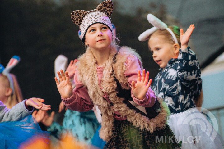 Slavnosti města Mikulov 2026