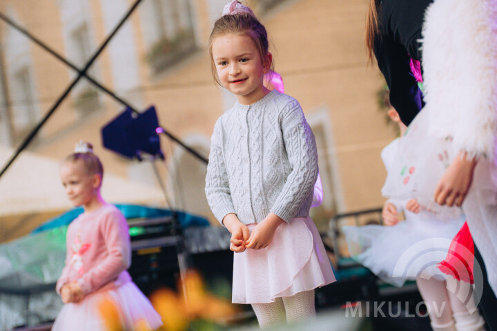 Slavnosti města Mikulov 2026