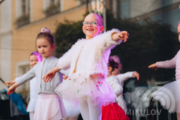 Slavnosti města Mikulov 2026