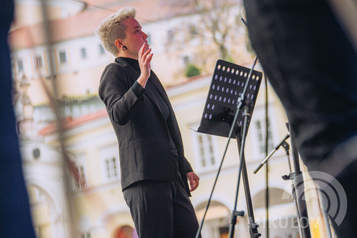 Slavnosti města Mikulov 2026