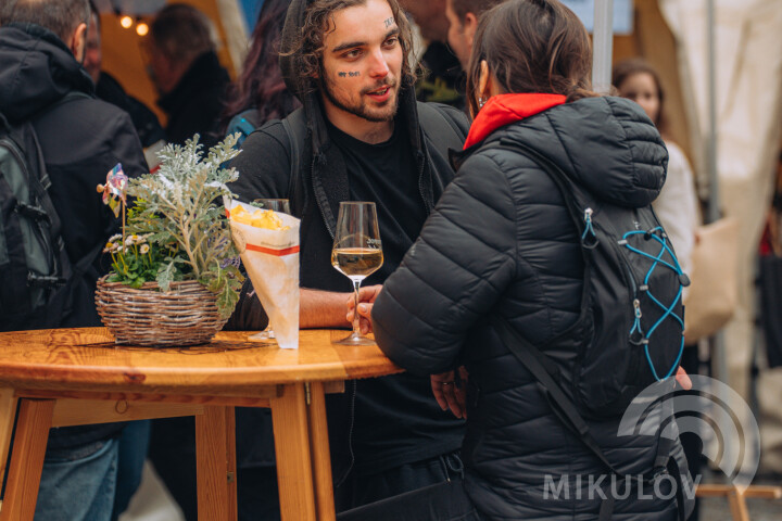 Slavnosti města Mikulov 2026