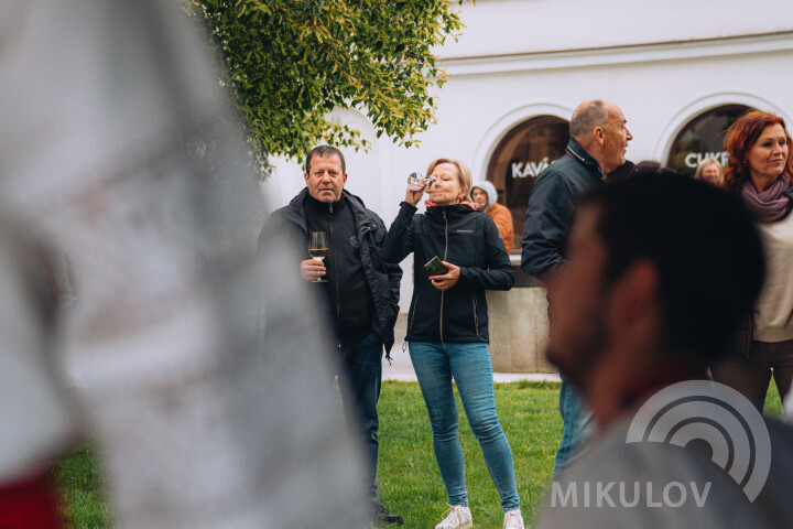 Slavnosti města Mikulov 2026