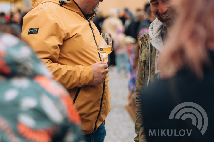 Slavnosti města Mikulov 2026
