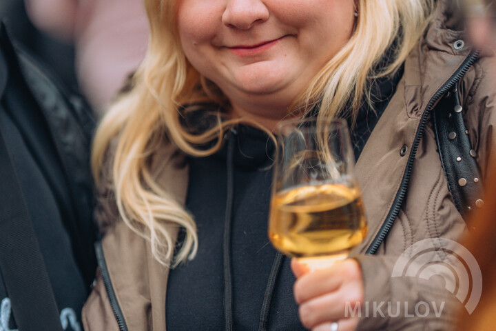 Slavnosti města Mikulov 2026