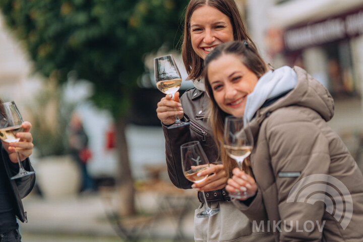 Slavnosti města Mikulov 2026