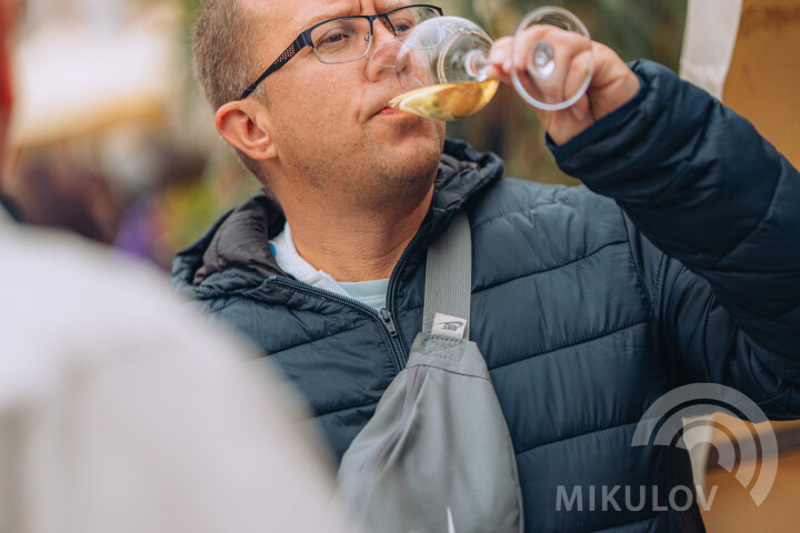 Slavnosti města Mikulov 2026