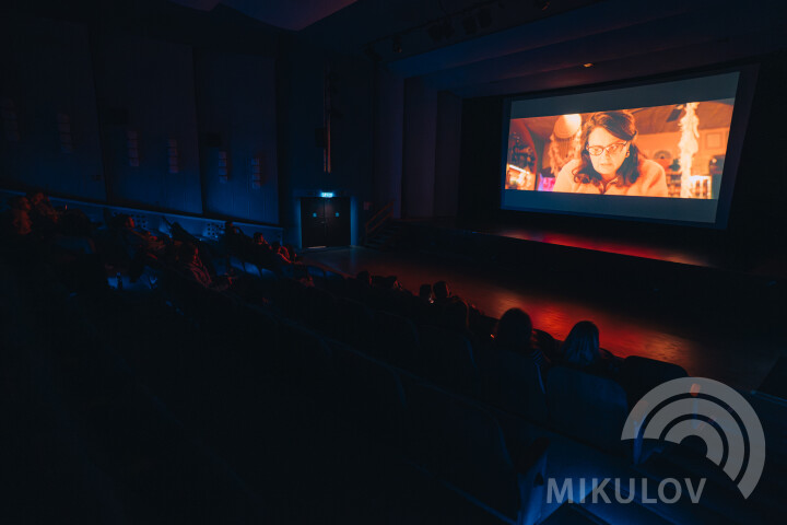 Slavnosti města Mikulov 2026