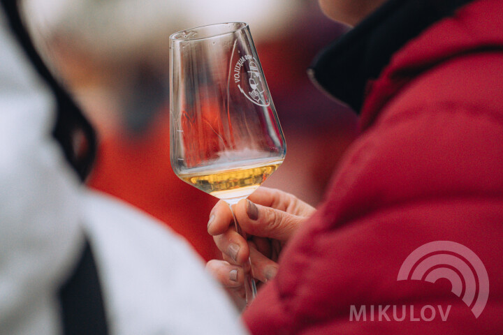 Slavnosti města Mikulov 2026