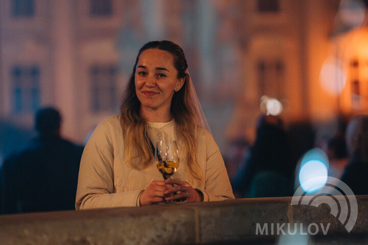 Slavnosti města Mikulov 2026