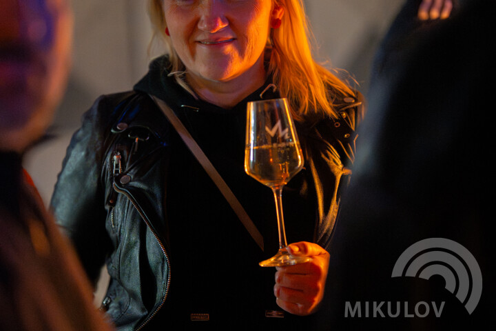 Slavnosti města Mikulov 2026