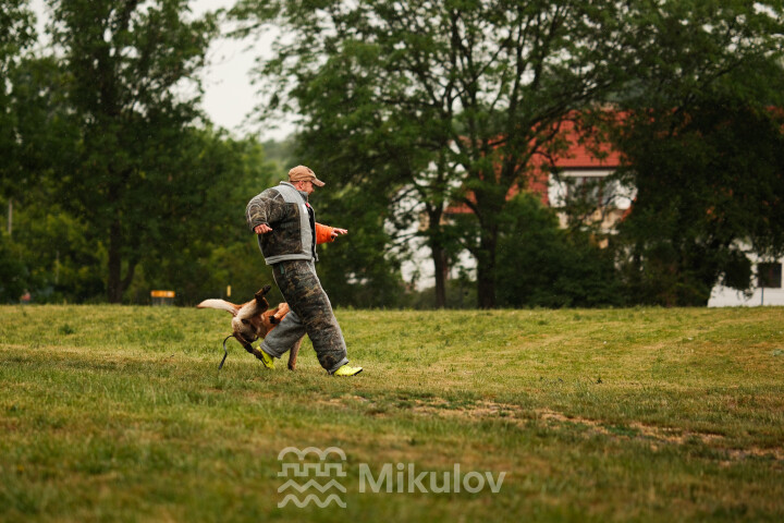 Dětský den 2026
